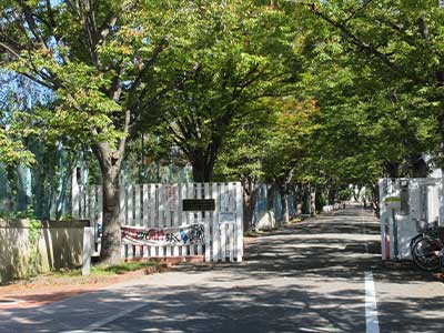 丸川珠代の大学や高校の学歴 出身情報 東大以外は許されない